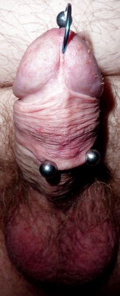 accessibleear86