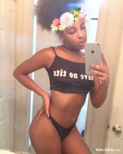 xnalgas