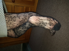 Sexy nylons