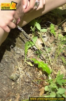 Teen girl enjoys pissing outdoor in the forest