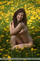 Blossom