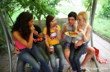 Violla, Rosa, Laska, Gregor, Filimon