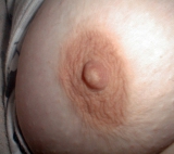 Wife\'s Tits