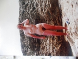 A few holiday pics