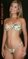 Bikini Beach