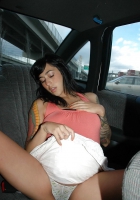 Pregnant bitch show\'s in car
