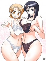 One Piece Hentai
