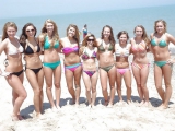 Facebook pig - bikini sluts 3