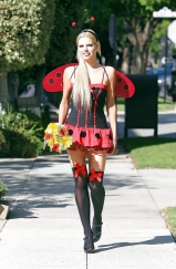 Stockings and Things 60