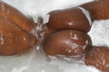 Puros Culos Enormes y Deliciosos