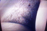 Muschi