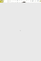 Little Mix of Micaela Schaefer