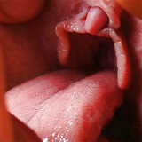 Tongue and Groove 4