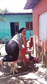 Gordinhas gostosas. fotos caseiras (bbw ssbbw homade)