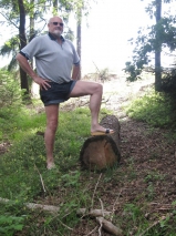 Im Wald