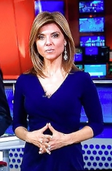 Maria Stephanos Milf News Anchor Boston 15