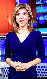 Maria Stephanos Milf News Anchor Boston 15