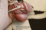 Tribute for Mistress Nata76