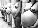 Floppy Saggy Puffy Nipples Pregnant