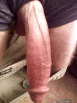 Various penises, dicks, cocks. Volume 4