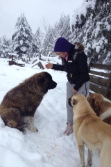 hughson gal 525f-570