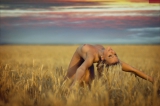 arousing-700t-750f