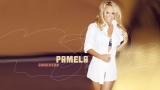 Blonde Big-tits Playboy Celebrity Model Pamela Anderson