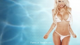 Blonde Big-tits Playboy Celebrity Model Pamela Anderson