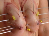 extreme pussy piercing