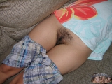 Indian Hairy Bush