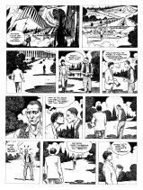 COMICS - SUPERHEROINES