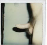 lee cock