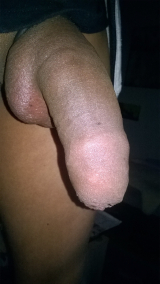 ...mein HengstSchwanz -Blacky-