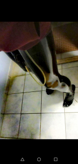 Hot Latex sissyboy
