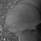 dehors