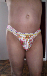 my panty story