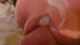 swallow