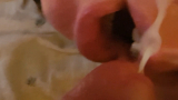 swallow
