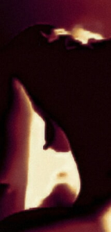 Sexy little sluts whores having fucking fun