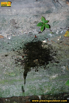 Outdoor pissing in the night of teen redhead girl - N