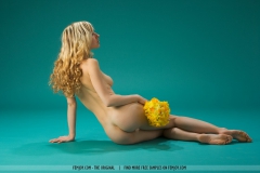 Daffodils - N