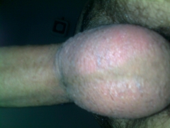 my cock - N