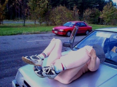 outdoor - dogging