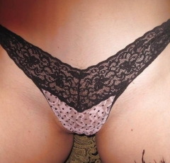 Amateur - N