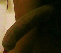 Some pics - N
