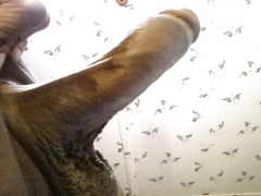 MY BIG DICK - N