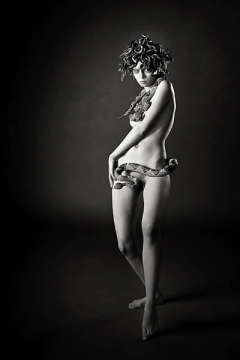 Was there Medusa Gorgone a Beauty ? - N