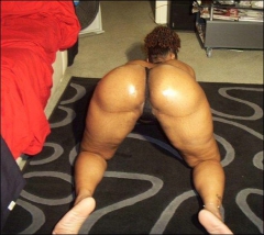 D'ASS - N