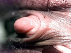Pussy lips and clit - N