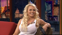 Blonde Big-tits Playboy Celebrity Model Pamela Anderson - N